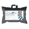 Lumbar Charcoal Memory Foam Pillow